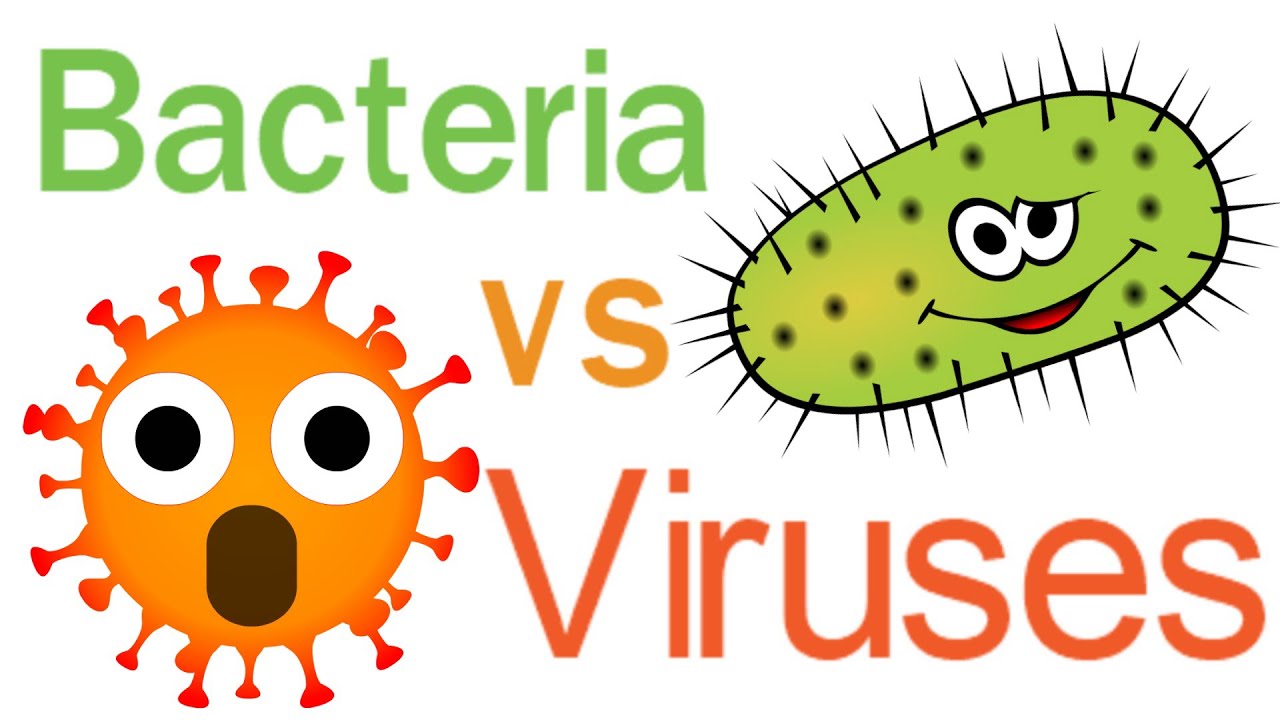 ความแตกต่างระหว่างการติดเชื้อแบคทีเรียและไวรัส